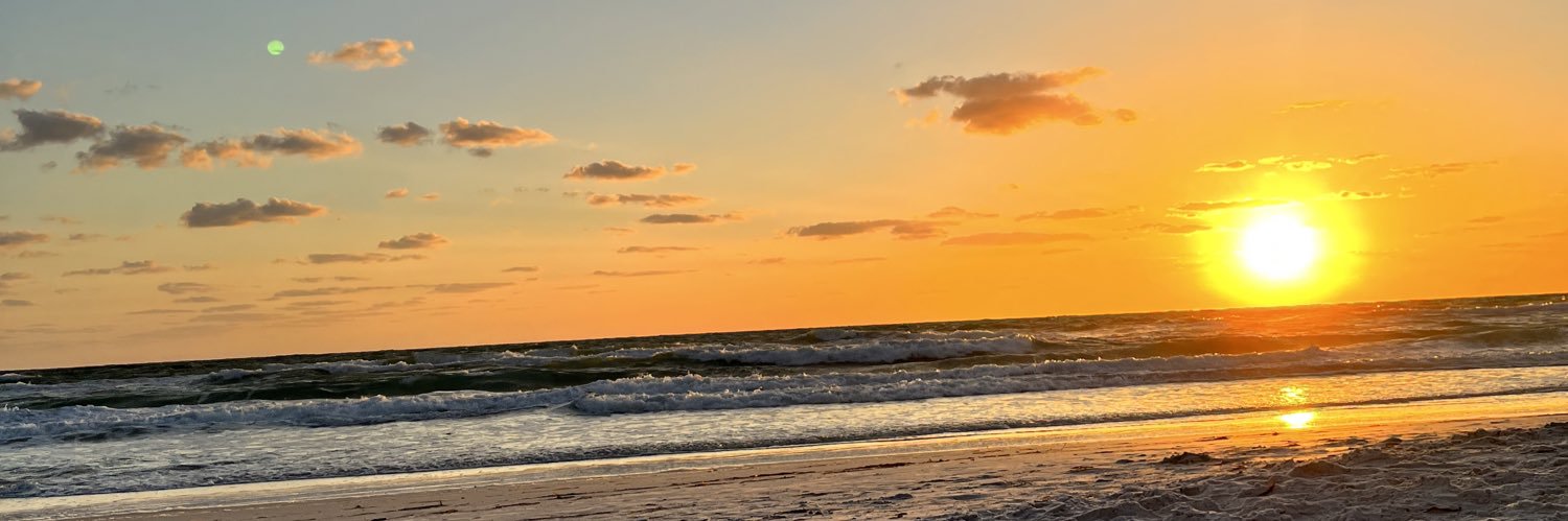torixcopeland's profile banner image