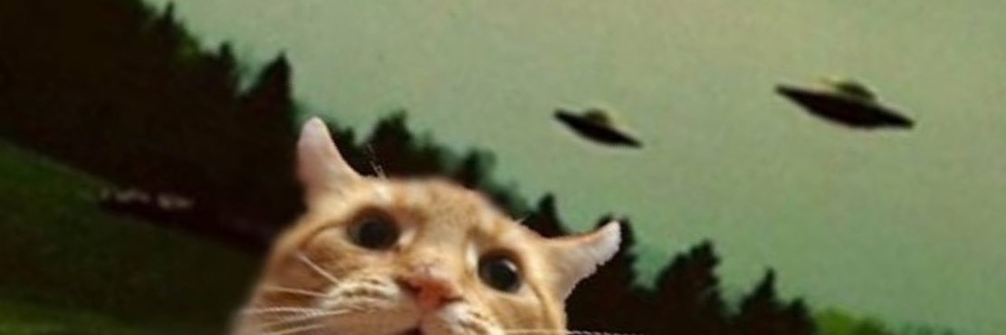 MaxEstes3's profile banner image