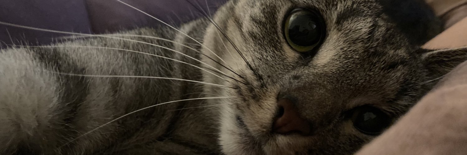 ghoulpwr's profile banner image