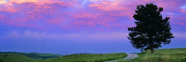 Aileen_784's profile banner image