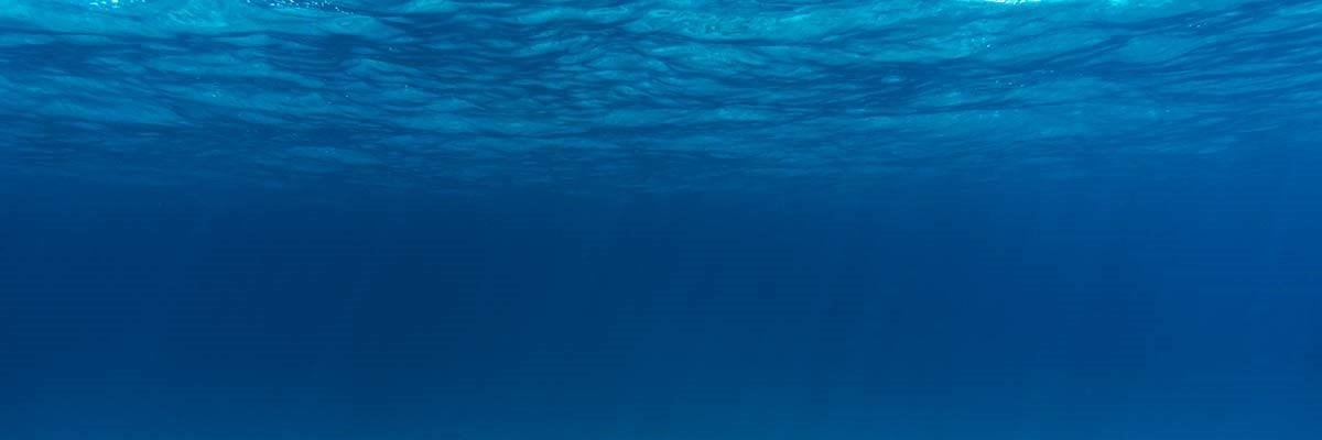 PxlFsh's profile banner image