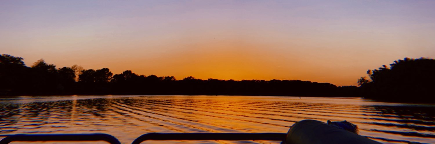 nicoleannelew's profile banner image