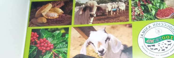 olmedinho's profile banner image