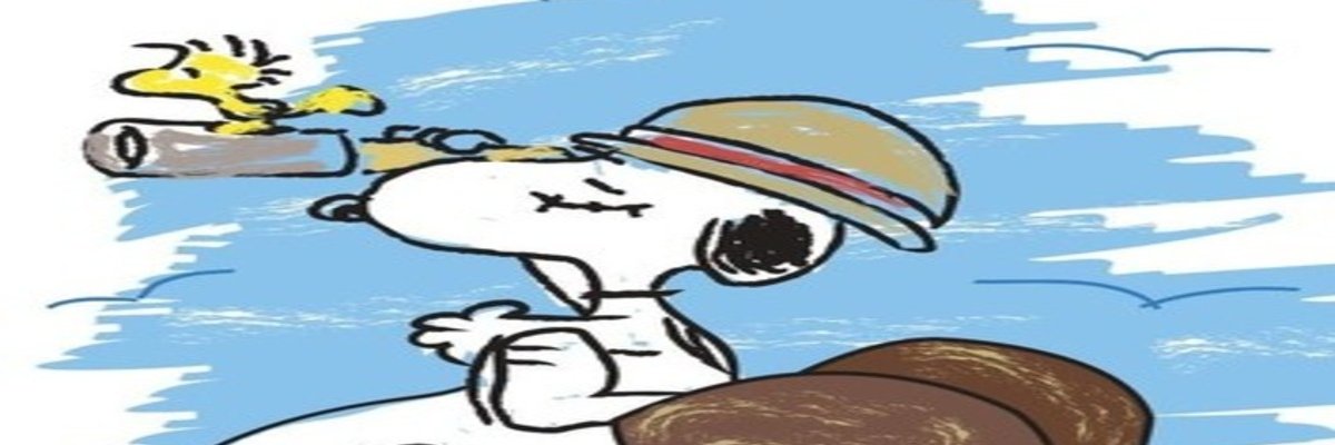 tigerstripecat's profile banner image
