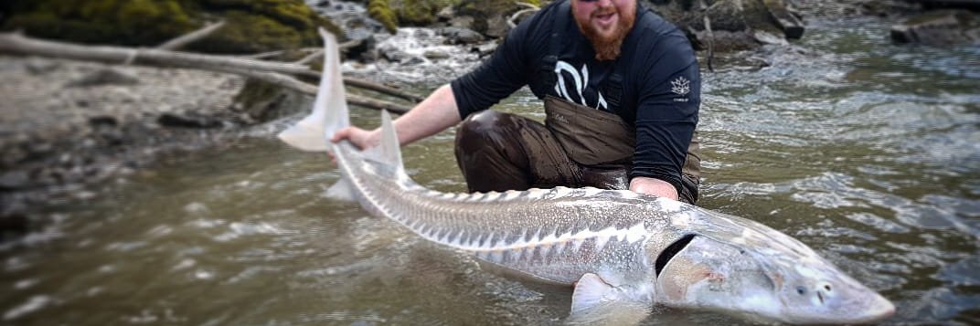 🍁RedShiner.ca banner