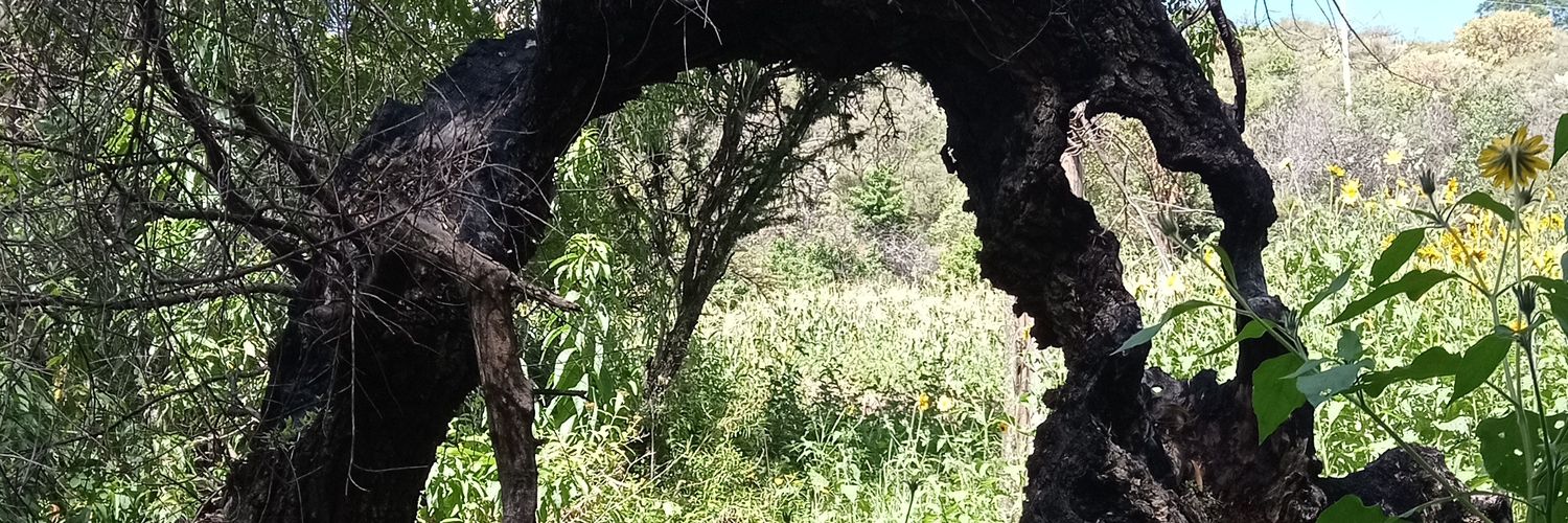 KarispookyLink's profile banner image