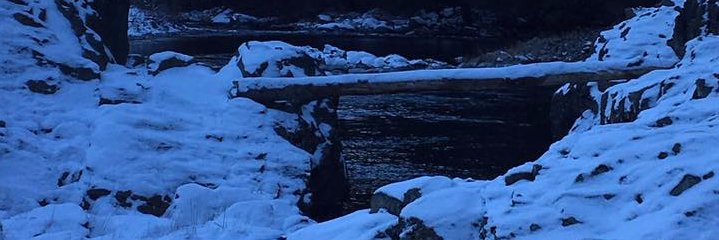 SelfMployedMvmt's profile banner image