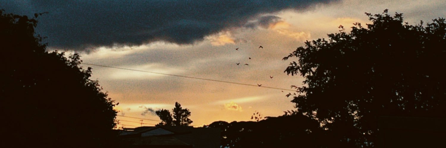 laurxcastrx's profile banner image