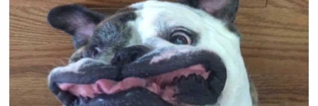 Maddie_May_'s profile banner image