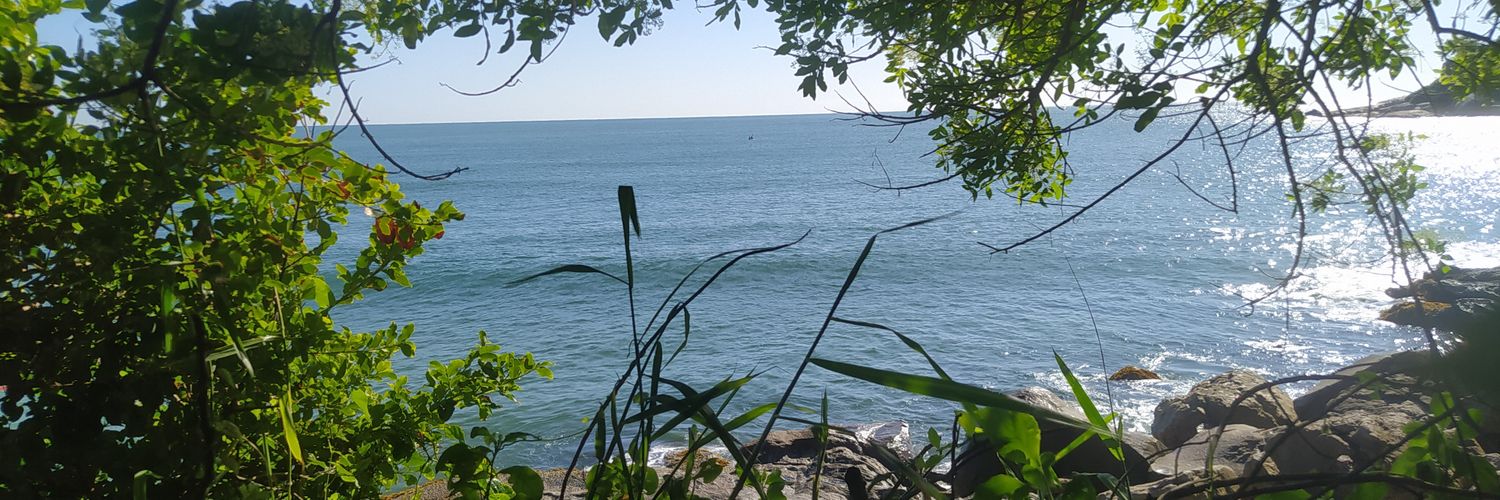 odanie_'s profile banner image