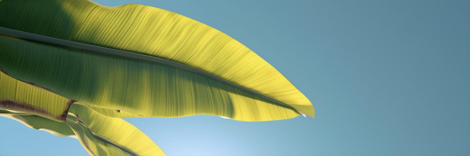 daammnnjo's profile banner image
