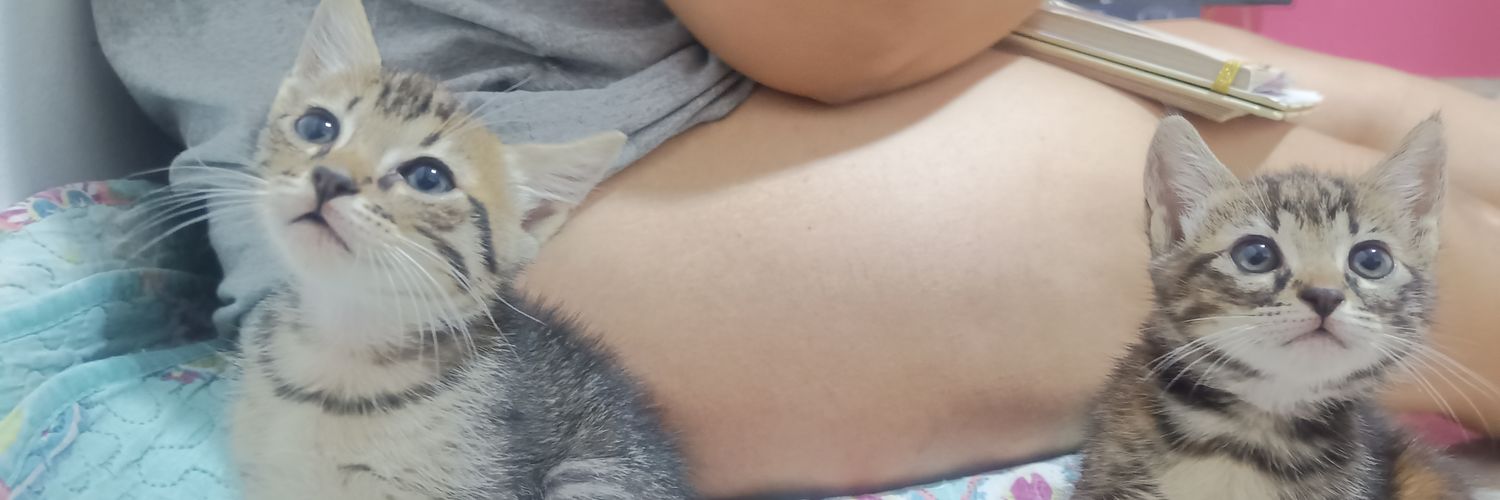 TheFlavius_'s profile banner image