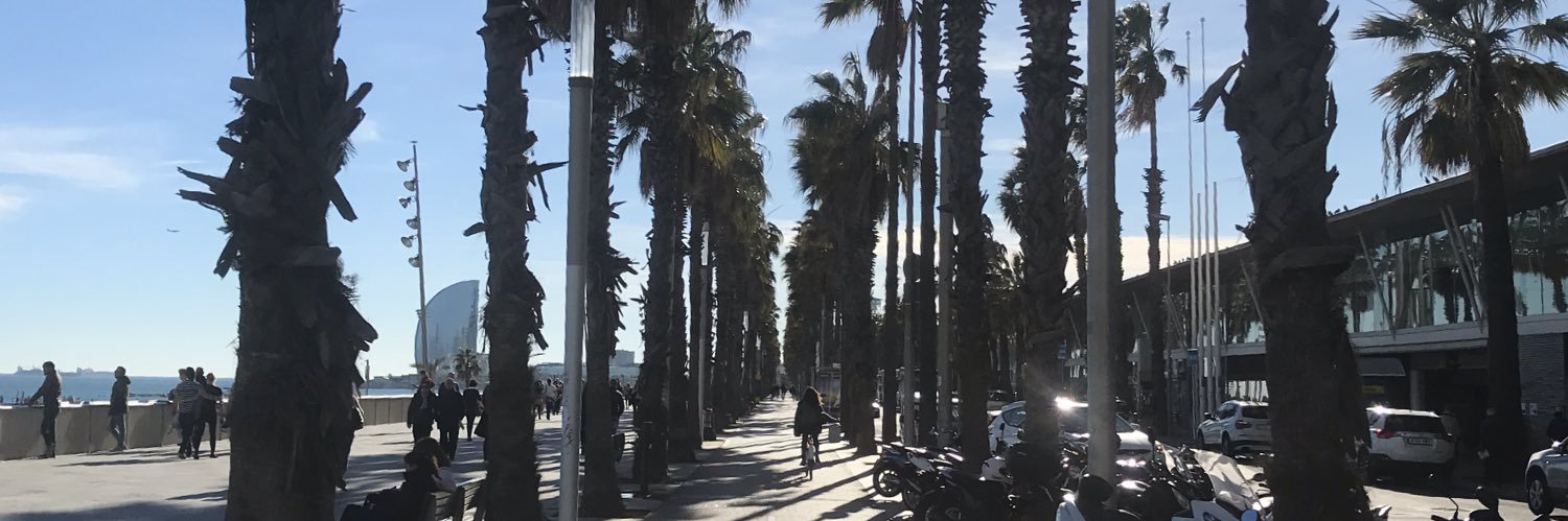 Michael Leech banner