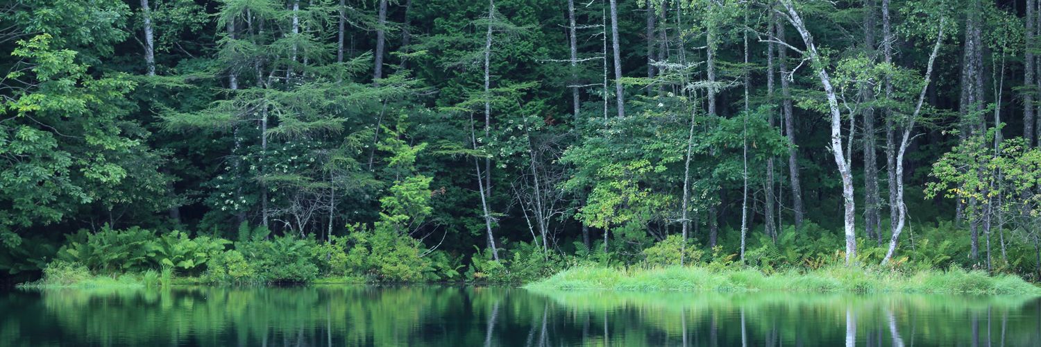 mottoKitamoto's profile banner image