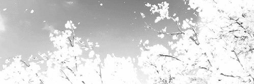 Queen_3112's profile banner image