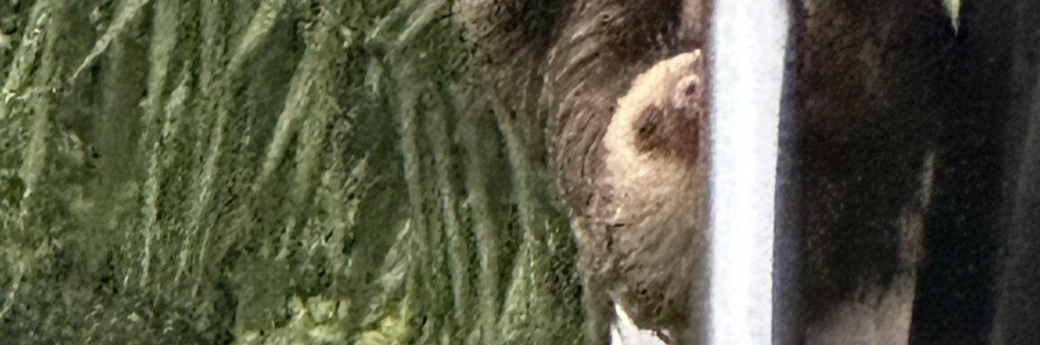 Luke McClaren banner