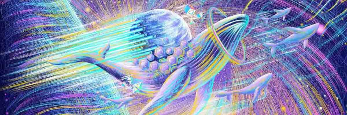 crypto_chobo's profile banner image