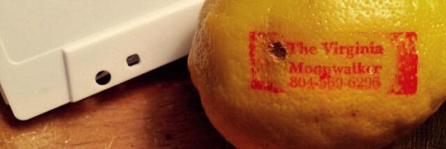 Virginia Moonwalker banner