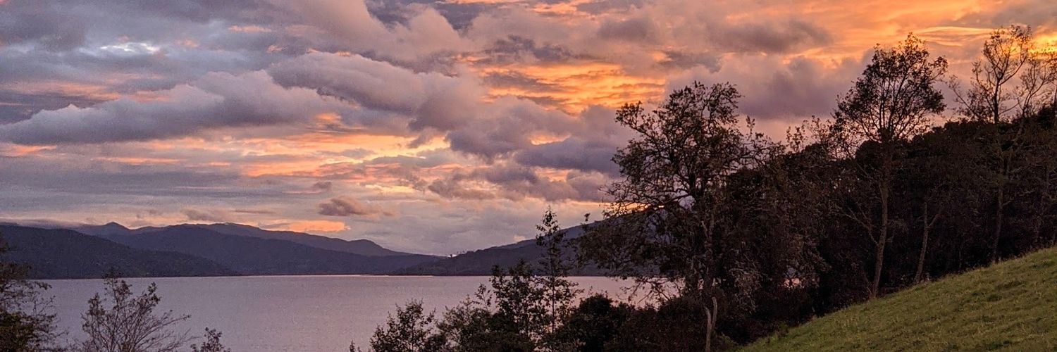 fertcoral's profile banner image