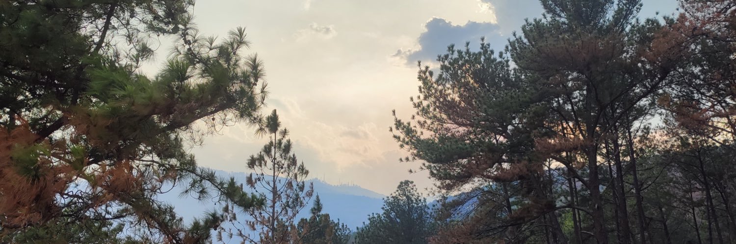 Jos_clements's profile banner image