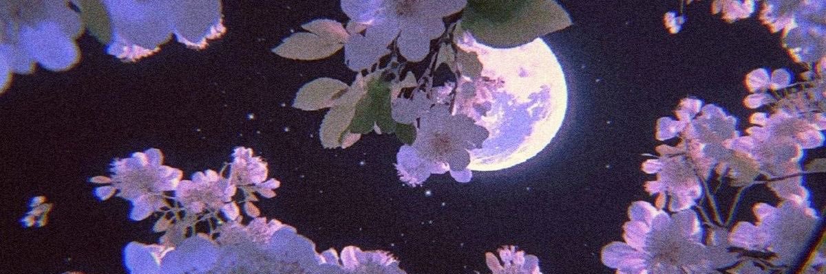 LiliGrant's profile banner image