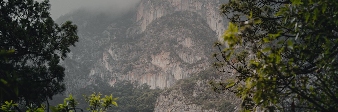 Monicachzb's profile banner image