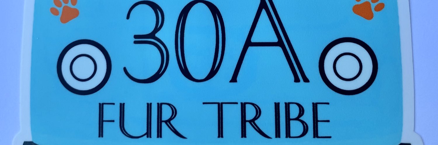 thedogsof30a's profile banner image