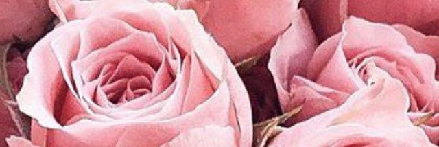 mofijay's profile banner image
