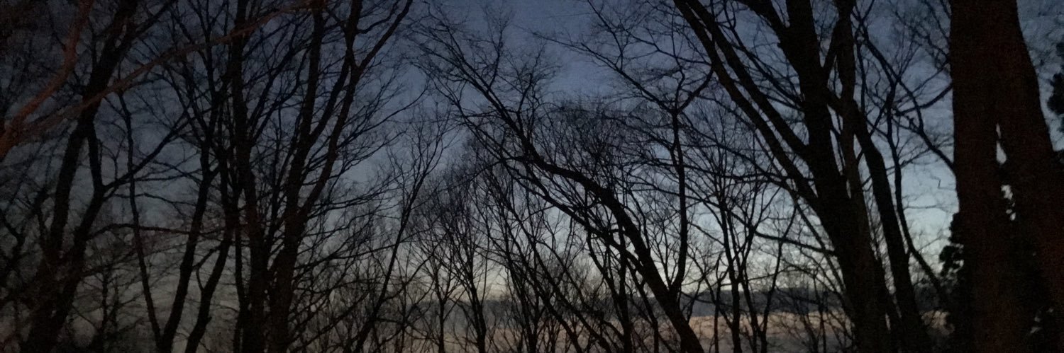 maybee_julybee's profile banner image