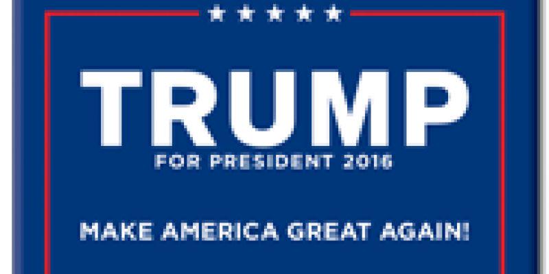 TrumpD2016's profile banner image