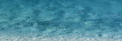 Suice_'s profile banner image