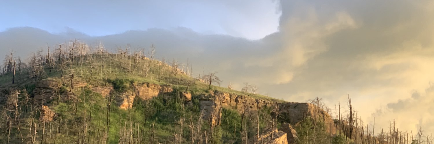 TyMac18's profile banner image