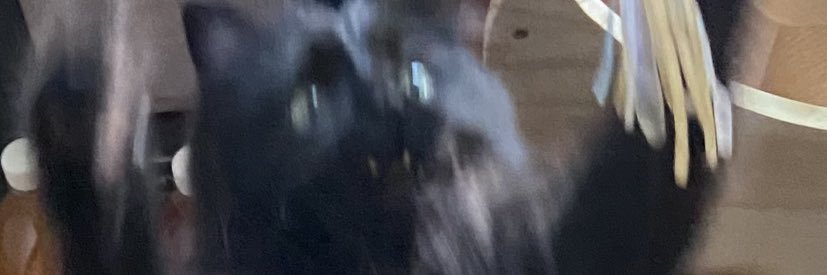mayosjar's profile banner image