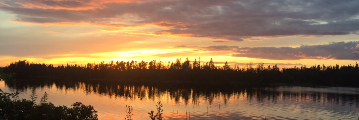 shaayboudreau's profile banner image