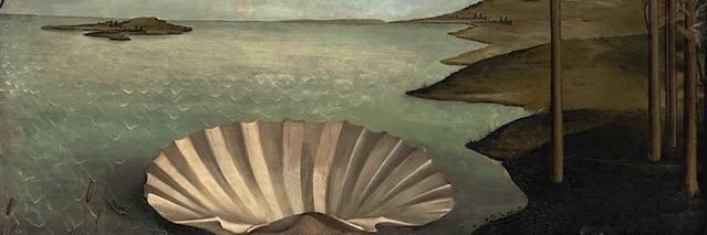 ClaudiaSnz's profile banner image