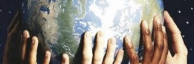 TracyMauro's profile banner image