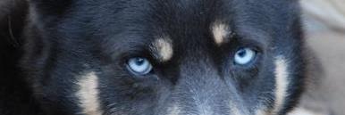 besandyBe's profile banner image