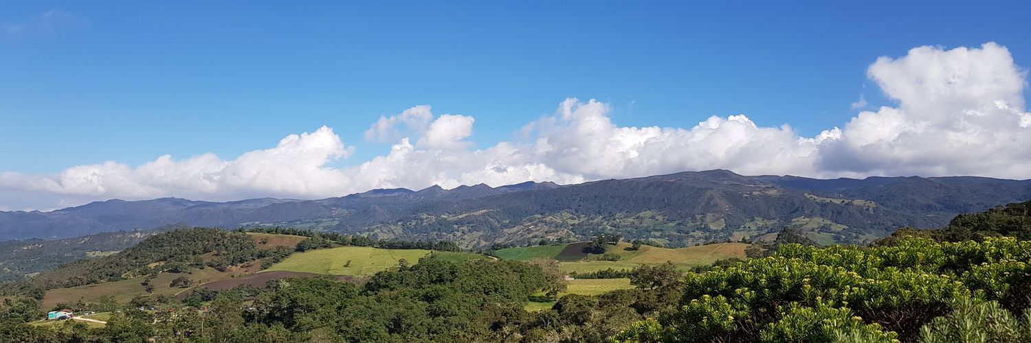 danielaflorezc's profile banner image