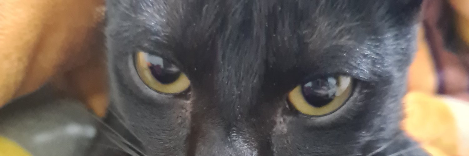 franchique's profile banner image