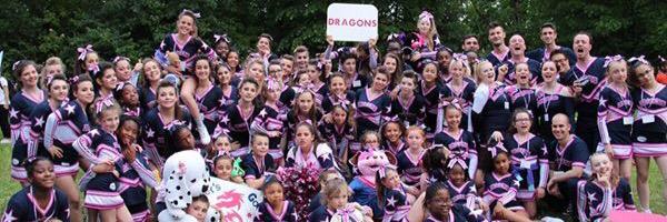 ASCVEDragons's profile banner image