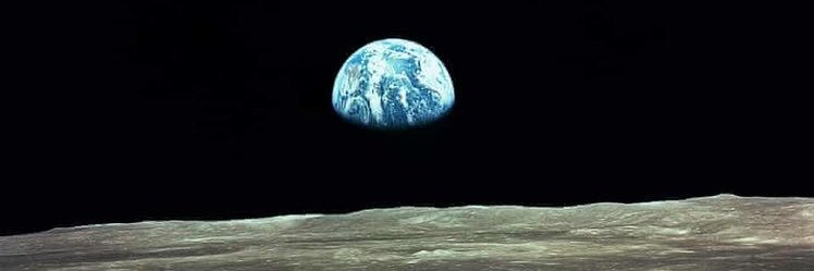 عضو سفید banner