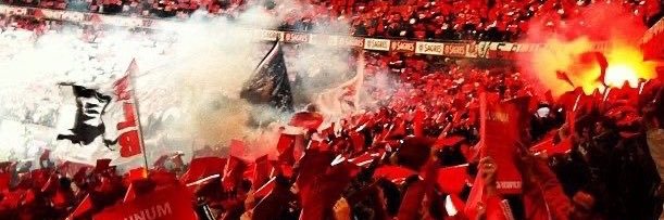 d_moreira10's profile banner image