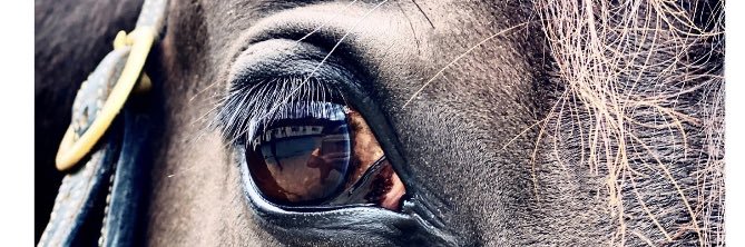 marianneithomas's profile banner image