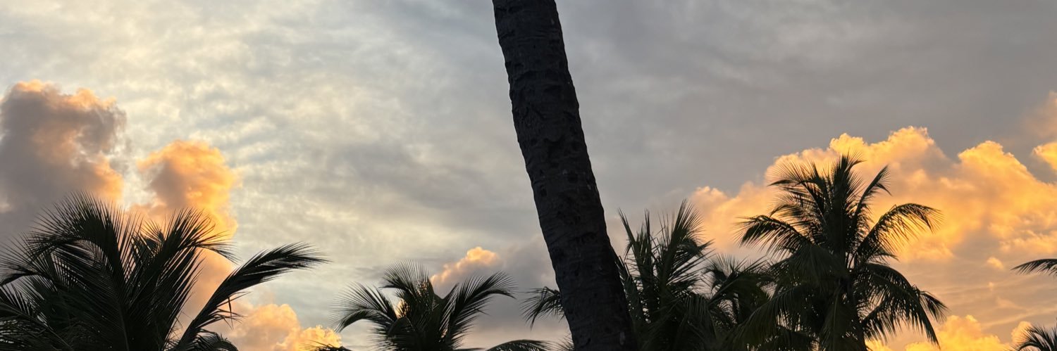 iDreamofnick's profile banner image
