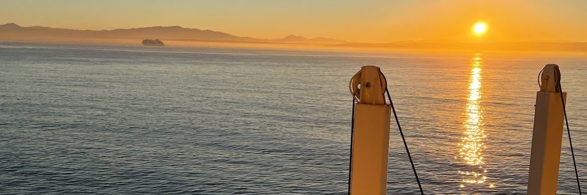 cosmiclytes's profile banner image