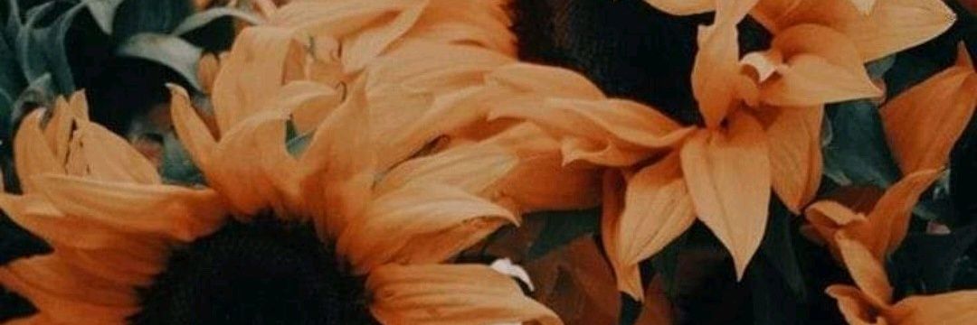 Flavinha_Smitth's profile banner image