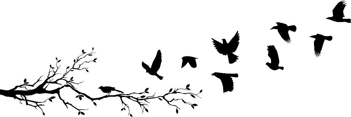 Ericardonat's profile banner image