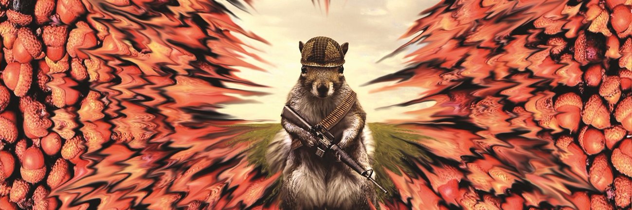 Max Protection banner