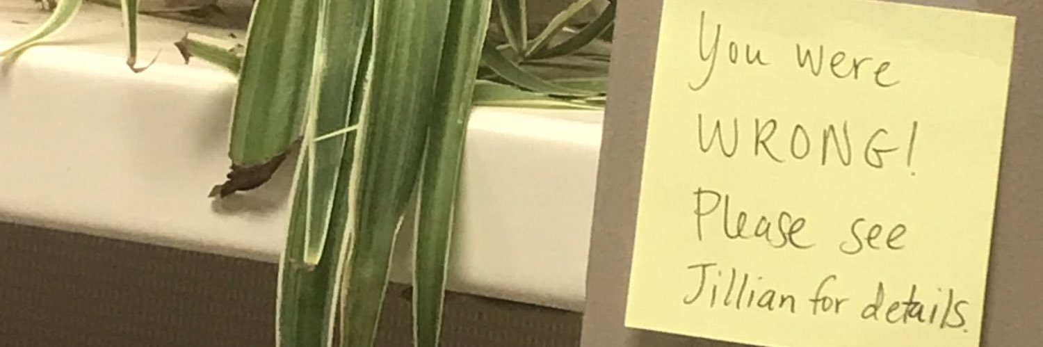 Jillian Weidner banner
