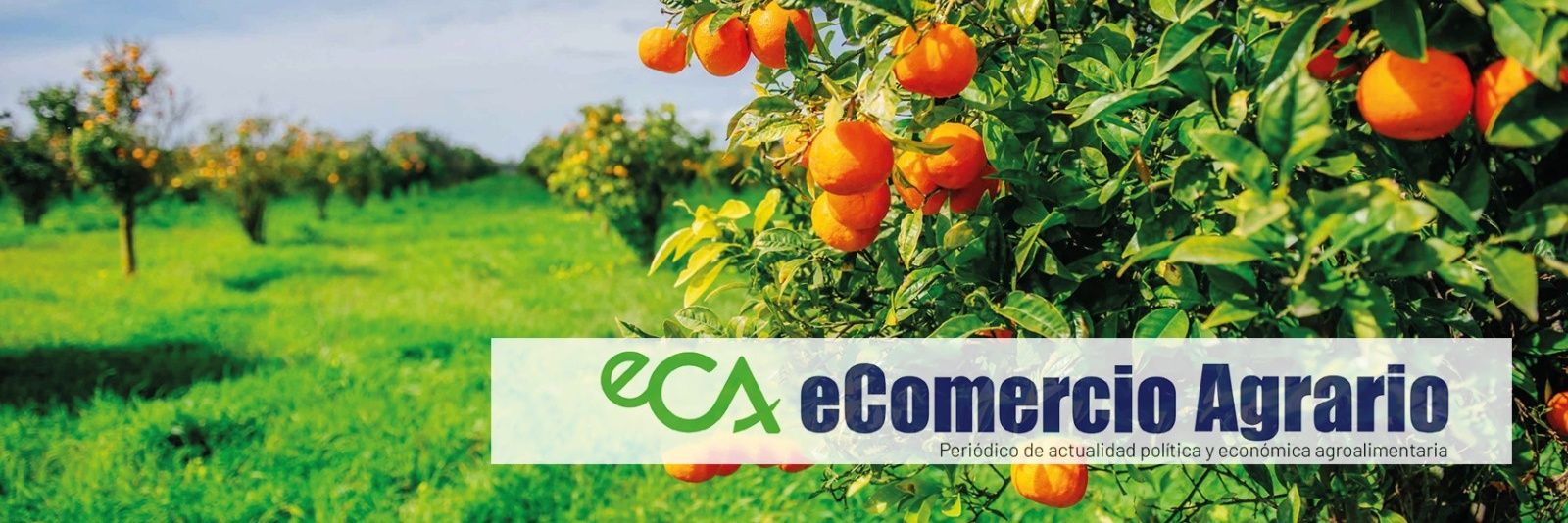 eComercioAgrario banner